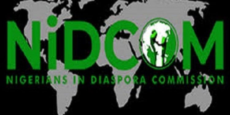 COVID-19: Diaspora group urges Nigerians to be innovative in harnessing natural resources