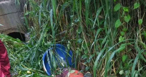 Photos: Dead bodies found in a bush in Delta