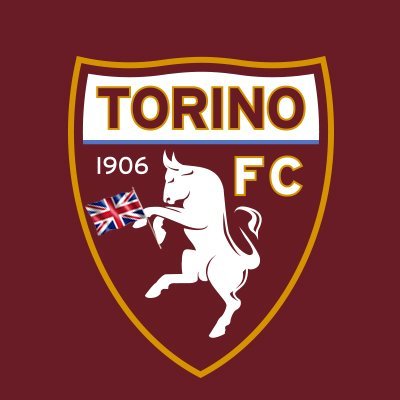 Seria A: Torino's player test postive for coronavirus