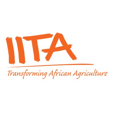COVID-19: IITA urges govt. to ensure food security
