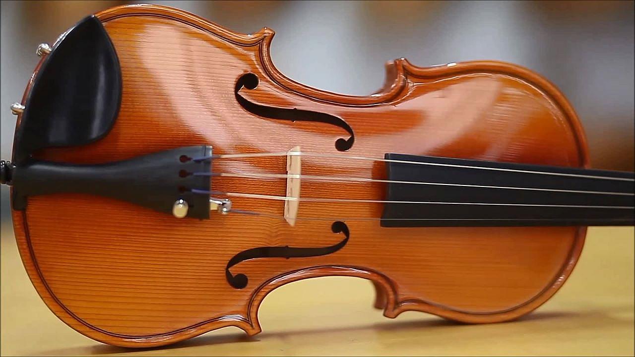 Man sentenced for stealing 250-year-old violin