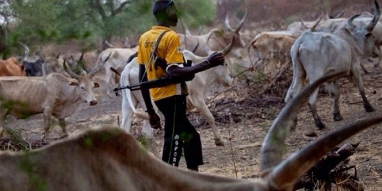 Herder in court for refusing to take care of calves after collecting N60, 000