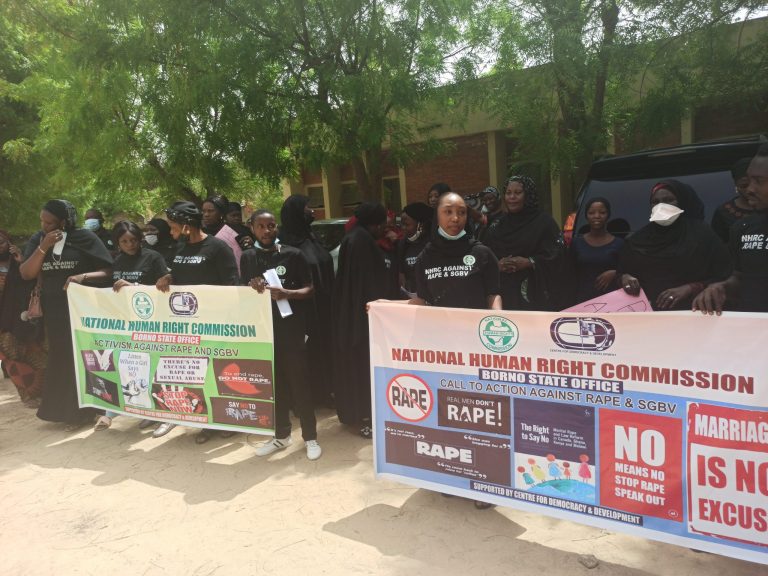 NHRC records 500 cases of sexual abuse in Borno