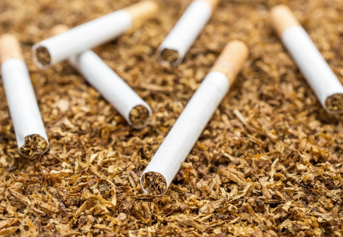 146m Africans die yearly from tobacco-related diseases - WHO