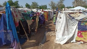 Flood destroys 2,600 IDPs’ shelters in Borno