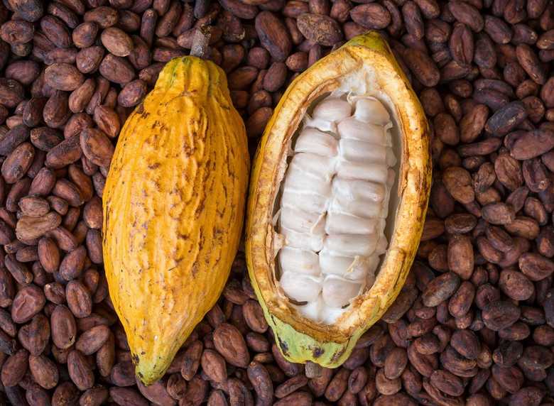 African cocoa trading centre opens in central China