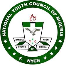 You were not validly elected as National Youths Council President, court tells Sukubo