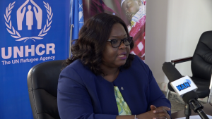 UN tasks Nigeria on protection of aid workers, peace in N/East