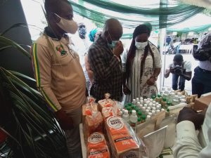 Lagos to establish coconut processing factory in Badagry by 2021