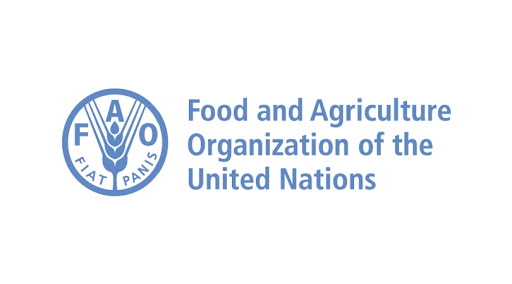 FAO Rep lists paths to achieving food safety in Nigeria