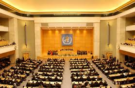 World Health Assembly opens, health leaders chart course for COVID-19 response