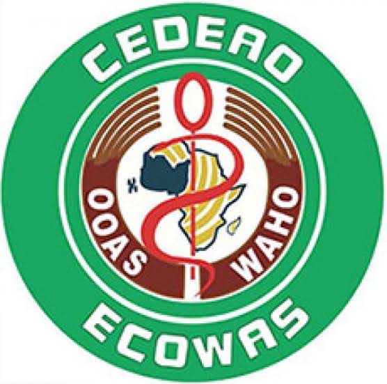 ECOWAS to send 90 observers to Niger’s general elections