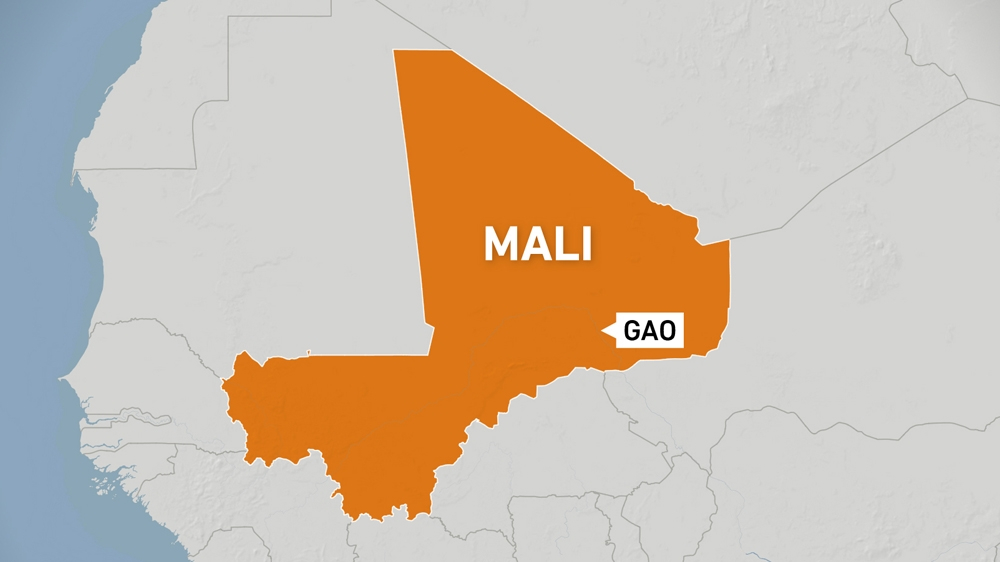 West Africa leaders suspend Mali from region bloc over coup