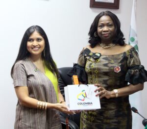 Dabiri-Erewa commends CBN for Diaspora-friendly Forex policy