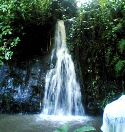 Arinta Waterfall